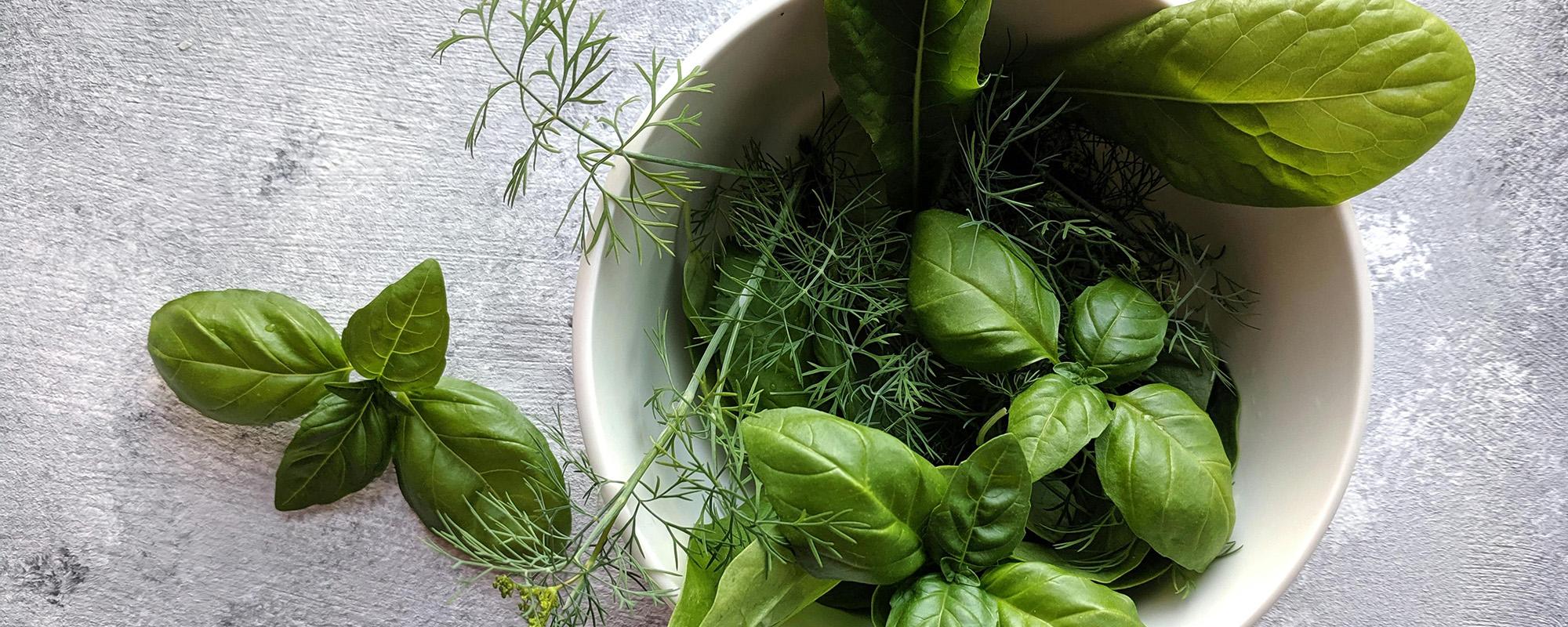 Community Education Classes Growing Culinary Herbs